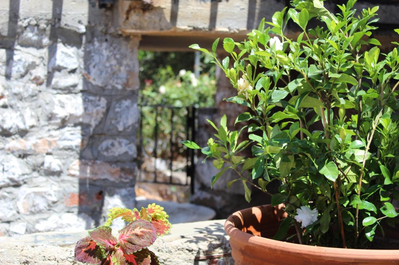 Apartmán Melita Traditional Stone House Pírgos Dhiroú Exteriér fotografie